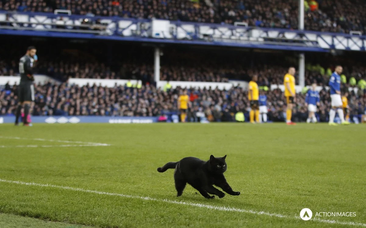 Jan Bednarek miał asystę przy golu Nathana Redmonda dla Southampton, a jego zespół zremisował na wyjeździe z Burnley 1:1 w meczu 25. kolejki angielskiej ekstraklasy piłkarskiej, ważnym w walce o utrzymanie w elicie. Gospodarze wyrównali w doliczonym czasie gry.