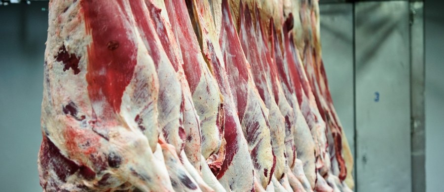 Dlaczego polskie służby zadziałały opieszale w związku z aferą z eksportem mięsa chorych i padłych krów - to głównie mają wyjaśniać unijni inspektorzy rozpoczynający w Polsce kontrolę. Do piątku dwie osoby wysłane przez Komisję Europejską po materiale telewizji TVN będą sprawdzać, jak przestrzegane są procedury. 