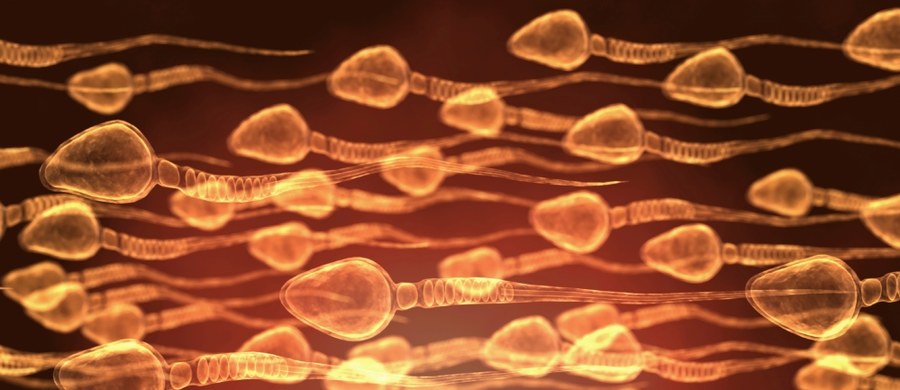 Fertile Chip to innowacyjna metoda selekcji plemników, która odtwarza warunki panujące w drogach rodnych kobiety. Zwiększa szansę na uzyskanie prawidłowych zarodków i sukces in vitro. Po raz pierwszy w Polsce użyto jej w 2018 roku w sieci klinik leczenia niepłodności InviMed.