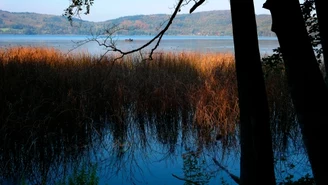 Niemcy: Wulkan w jeziorze Laacher See budzi się do życia