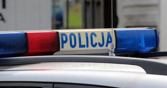 ​Cztery osoby, w tym co najmniej trzech funkcjonariuszy policji, zostały ranne na drodze krajowej nr 83. W wypadku w miejscowości Dzierlin w Łódzkiem samochód osobowy zderzył się z radiowozem.