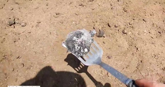 Ziemia na jednej z farm w Mount Denison w północnej Australii była tak gorąca, że farmer... smażył na niej jajko. Wcześniej zaobserwował, że grunt na jego posesji jest zwęglony i unosi się nad nim dym. Termometr, zanim się stopił, wskazał temperaturę 210 stopni Celsjusza.
