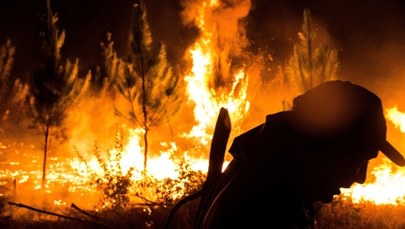 Chile walczy z 40 pożarami lasów, 75 pożarów opanowano