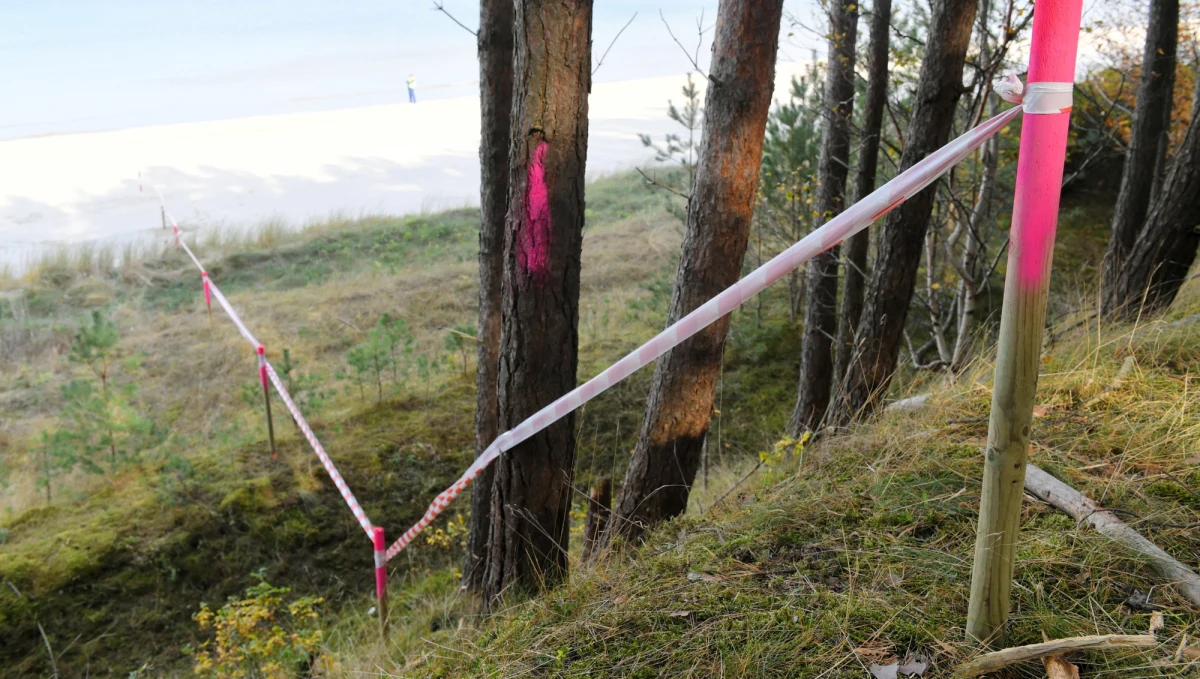 Jest skarga do Komisji Europejskiej w sprawie rozpoczęcia prac nad przekopem Mierzei Wiślanej. Jak dowiedział się reporter RMF FM Kuba Kaługa, złożyło ją stowarzyszenie ekologiczne EKO-UNIA. Przypomnijmy w piątek wojewoda pomorski wydał pozwolenie na rozpoczęcia prac. Tego samego dnia ruszyła wycinka drzew w miejscu budowy przyszłego kanału żeglugowego. 