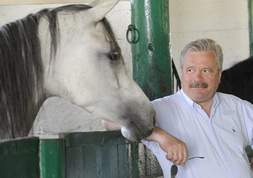 Marek Trela o stadninach koni arabskich: Ignorancja i brak profesjonalizmu