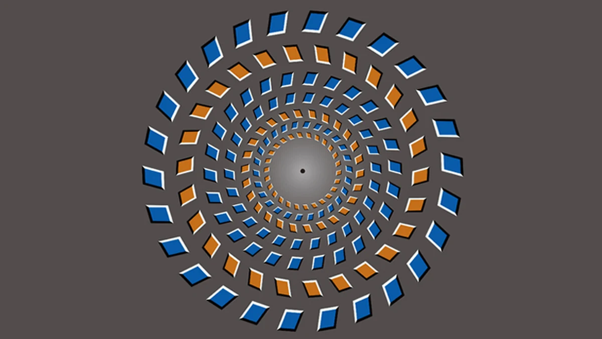 Patrz w centralny punkt rysunku i zbliżaj głowę do ekranu. Prawda, że pierścienie się kręcą? A teraz oddal głowę. Też się kręcą, tyle, że w przeciwnym kierunku. Tak właśnie wygląda iluzja Pinny-Brelstaffa, pokazująca, jak ruch obserwatora względem nieruchomego obrazka może wywołać wrażenie, że to elementy tego obrazka się względem siebie poruszają. Naukowcy z Chin odkryli właśnie, że odpowiada za to opóźnienie przekazywania sygnału między rejonami mózgu, które zajmują się opracowaniem obrazu. Pisze o tym w najnowszym numerze czasopismo "The Journal of Neuroscience".