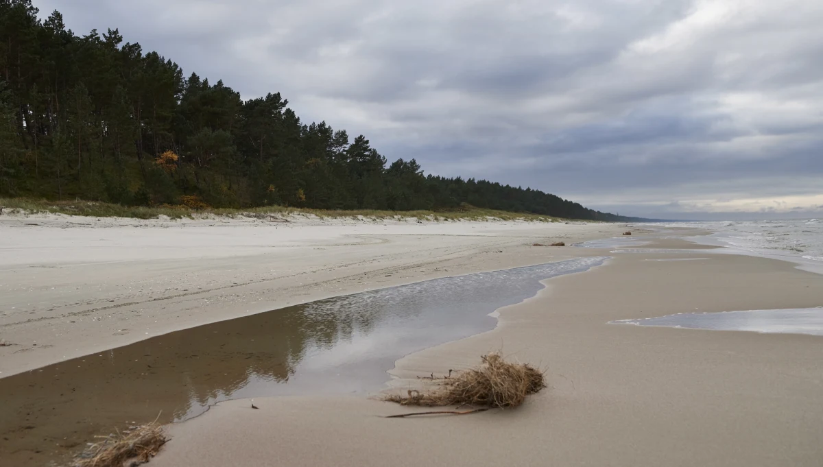 Komisja Europejska chce się spotkać z przedstawicielami polskich władz w sprawie przekopu Mierzei Wiślanej - ustaliła dziennikarka RMF FM. List w tej sprawie został wysłany przez KE do Ministerstwa Gospodarki Morskiej i Żeglugi Śródlądowej. Jak dowiedziała się Katarzyna Szymańska-Borginon, w liście zaznaczono, że sprawa jest "pilna" w związku z tym, że w Polsce rozpoczęły się już prace związane z budową przyszłego kanału żeglugowego. Chodzi m.in. o rozpoczętą wycinkę drzew. Bruksela ma wiele wątpliwości co do tej inwestycji i argumentacji polskich władz przedstawionej w pakiecie odpowiedzi z 14 stycznia.