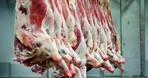 ​Kolejne problemy polskich eksporterów mięsa. Czeski minister rolnictwa Miroslav Toman właśnie poinformował o wprowadzenia specjalnych kontroli wołowiny z Polski i nie wykluczył wprowadzenia zakazu importu mięsa z naszego kraju. Powód to znalezienie 700 kg polskiej wołowiny zakażonej salmonellą.