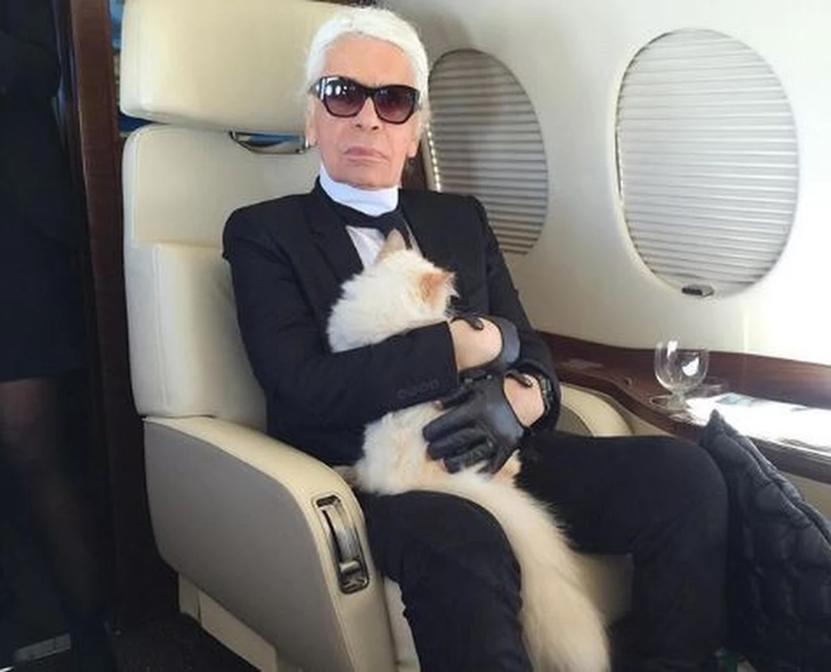 Kotka Choupette może odziedziczyć spadek po Karlu Lagerfeldzie. Niebagatelny - bo liczący około 200 milionów dolarów. "Nie bójcie się. Jest tego tyle, że starczy dla każdego"- miał mówić światowej sławy kreator mody. Lagerfeld był tak zakochany w swojej pupilce, że - jak mówiono - byłby gotowy ją nawet poślubić. 