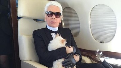 Kocica spadkobierczynią Karla Lagerfelda? "Nie bójcie się, starczy dla każdego"