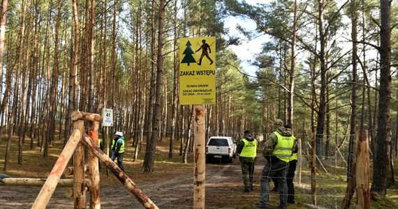Greenpeace Polska interweniuje w Komisji Europejskiej w sprawie przekopu Mierzei Wiślanej. Ekolodzy wyślą dziś list z prośbą o spotkanie i reakcję do Dyrekcji Generalnej do spraw Środowiska. Chcą przekonać unijnych urzędników, że przekop Mierzei nie przyniesie żadnych korzyści.