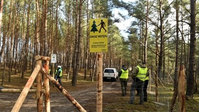 Greenpeace Polska interweniuje ws. przekopu Mierzei Wiślanej