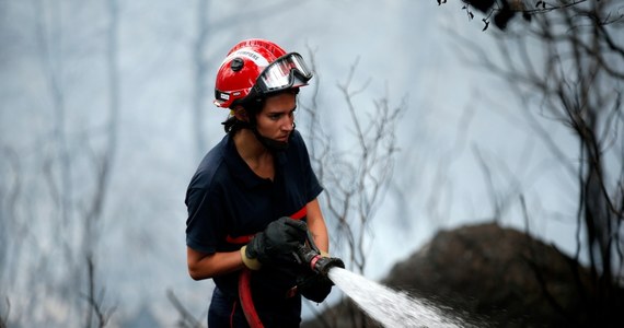 Korsyce grozi katastrofa ekologiczna - alarmują francuskie władze. Już trzeci dzień, tysiące hektarów lasów i łąk niszczy gigantyczna fala pożarów. Z ogniem walczą strażacy ściągnięci na Korsykę z różnych regionów Francji.  

