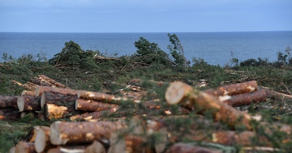 W piątek odbędzie się eksperckie spotkanie polskich władz z przedstawicielami Komisji Europejskiej ws. budzącego kontrowersje przekopu Mierzei Wiślanej - dowiedziała się korespondentka RMF FM Katarzyna Szymańska-Borginon. O pilne spotkanie ws. Mierzei prosiła Bruksela, o czym nasza dziennikarka informowała jako pierwsza. Spotkanie odbędzie się w belgijskiej stolicy.