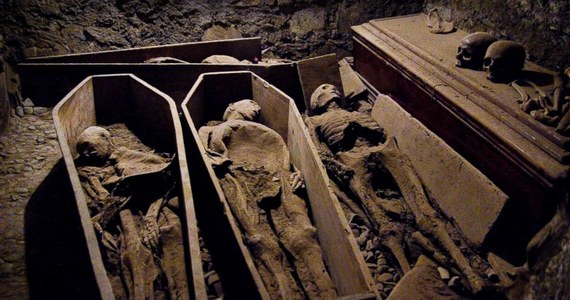 Ktoś włamał się do krypty kościoła w Dublinie w Irlandii i ukradł czaszkę jednego z pochowanych tam krzyżowców. Szczątki spoczywały tam od 800 lat.