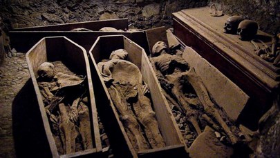 Wandale zbezcześcili mumię krzyżowca sprzed 800 lat