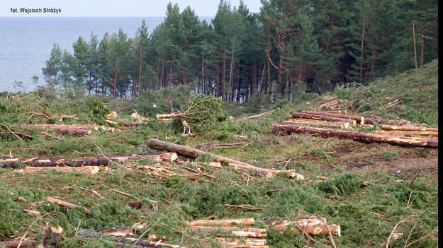 Trwa przekop Mierzei Wiślanej. Prace trwają mimo protestów ze strony mieszkańców i rosyjskich władz. Swoje zastrzeżenia ma również Komisja Europejska. Budowa ma uniezależnić polską część Zatoki Wiślanej od rosyjskiej Cieśniny Pilawskiej.