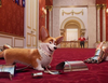 Zobacz trailer: Corgi, psiak Królowej