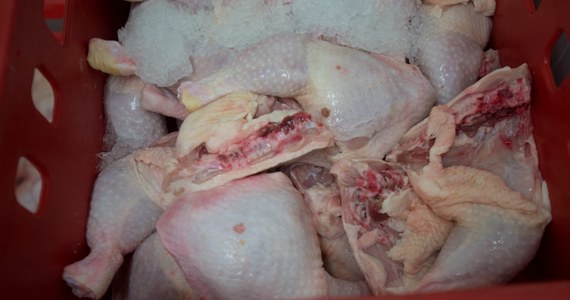 Czechy: Salmonella w mrożonych kurzych udkach z Polski