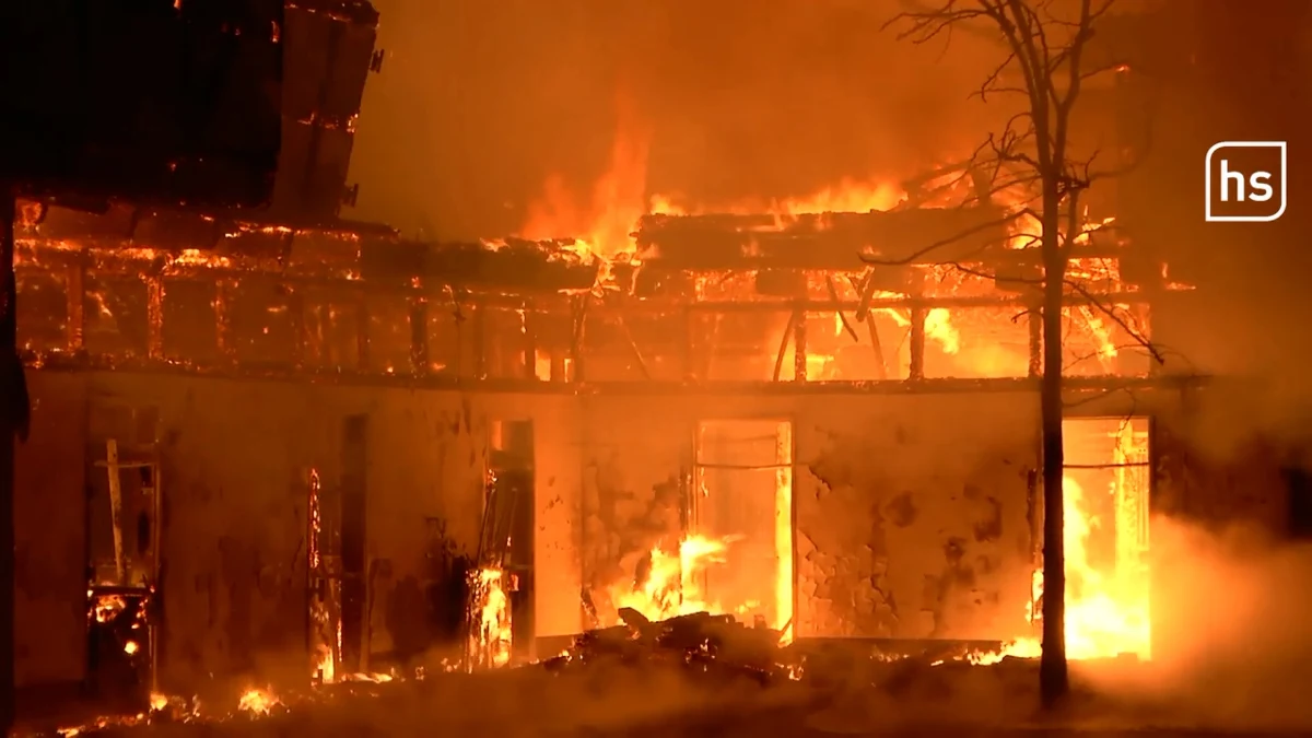 Co najmniej kilka milionów euro strat w pożarze stajni należącej do niemieckiej rodziny Rothenberger. Było tam 35 koni - w tym te, na których zdobywano medale olimpijskie i wygrywano mistrzostwa. Część z nich została wypuszczona luzem z boksów, w tym ten najcenniejszy wałach Cosmo. Wiadomo, że pięć koni zginęło - z objawami zatrucia tlenkiem węgla do szpitala została przewieziona też zawodniczka Sanneke Rothenberger.