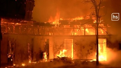 Ogromny pożar stajni. Zginęło 5 koni, kilka milionów euro strat