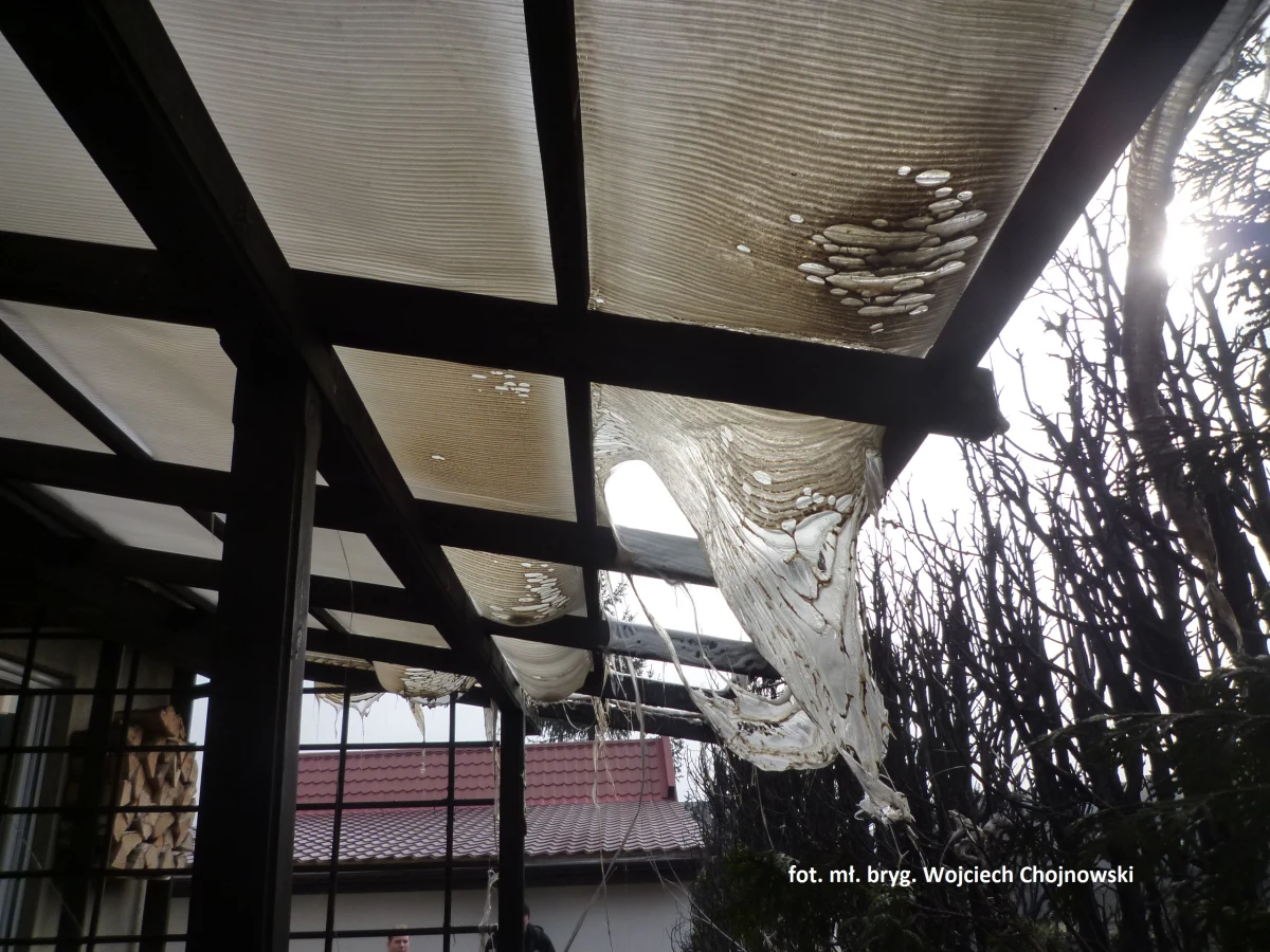 Niebezpieczny pożar trawy w Mysłowicach w woj. śląskim. Ogień zagrażał okolicznym mieszkańcom. Na szczęście w porę go ugaszono.