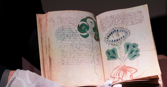 Manuskrypt Wojnicza jest uważany za jeden z najbardziej tajemniczych rękopiśmiennych zabytków średniowiecza. W Poznaniu po raz pierwszy w Polsce zaprezentowano jego faksymile, czyli wykonaną ręcznie, dokładną kopię.