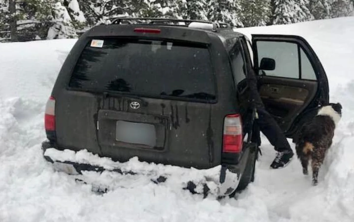 Mieszkający w Sunriver w Oregonie w USA mężczyzna zabrał psa, wsiadł do swojego auta i pojechał na stację benzynową. W drodze powrotnej jego auto wpadło w poślizg i wylądowało na poboczu w gigantycznej zaspie. Uwięziony przez śnieg mężczyzna został odnaleziony dopiero po 5 dniach. 