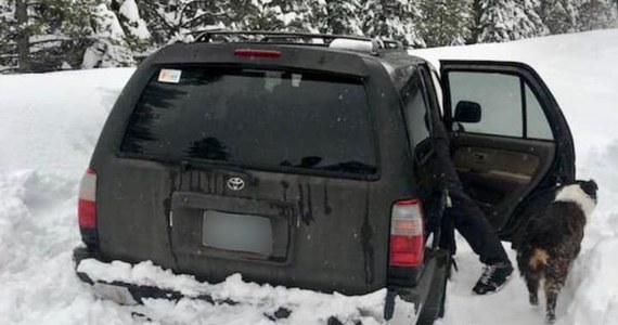 Mieszkający w Sunriver w Oregonie w USA mężczyzna zabrał psa, wsiadł do swojego auta i pojechał na stację benzynową. W drodze powrotnej jego auto wpadło w poślizg i wylądowało na poboczu w gigantycznej zaspie. Uwięziony przez śnieg mężczyzna został odnaleziony dopiero po 5 dniach. 