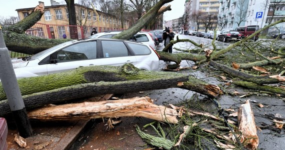 IMGW ostrzega przed silnym wiatrem. Na Pomorzu może on mieć prędkość w porywach do 110 km/h, a w innych częściach kraju nawet do 80 km/h.