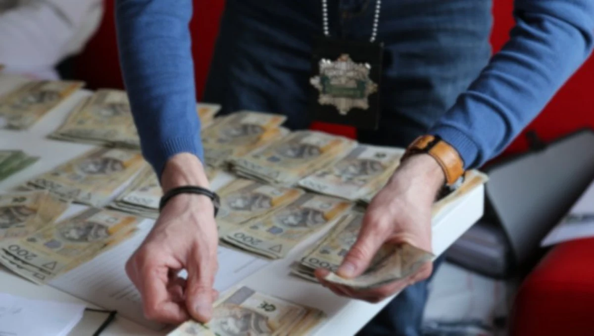 Centralne Biuro Śledcze Policji i Straż Graniczna zatrzymały 16 osób podejrzanych o udział w gangu przemycającym cudzoziemców. Według prowadzącej śledztwo prokuratury, członkowie grupy mieli zarobić na tym ok. 920 tysięcy euro.