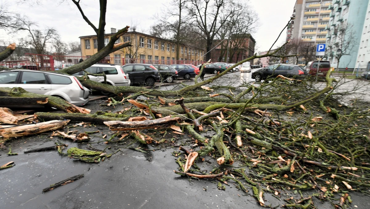 Blisko 900 razy interweniowali minionej doby strażacy z powodu silnego wiatru. Trzy osoby zostały ranne. 