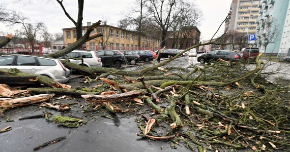 Blisko 900 razy interweniowali minionej doby strażacy z powodu silnego wiatru. Trzy osoby zostały ranne. 