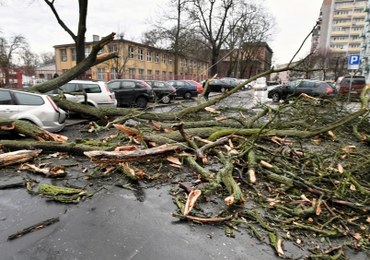 Wichury nad Polską. Blisko 900 interwencji straży, spadający konar ranił dwie kobiety
