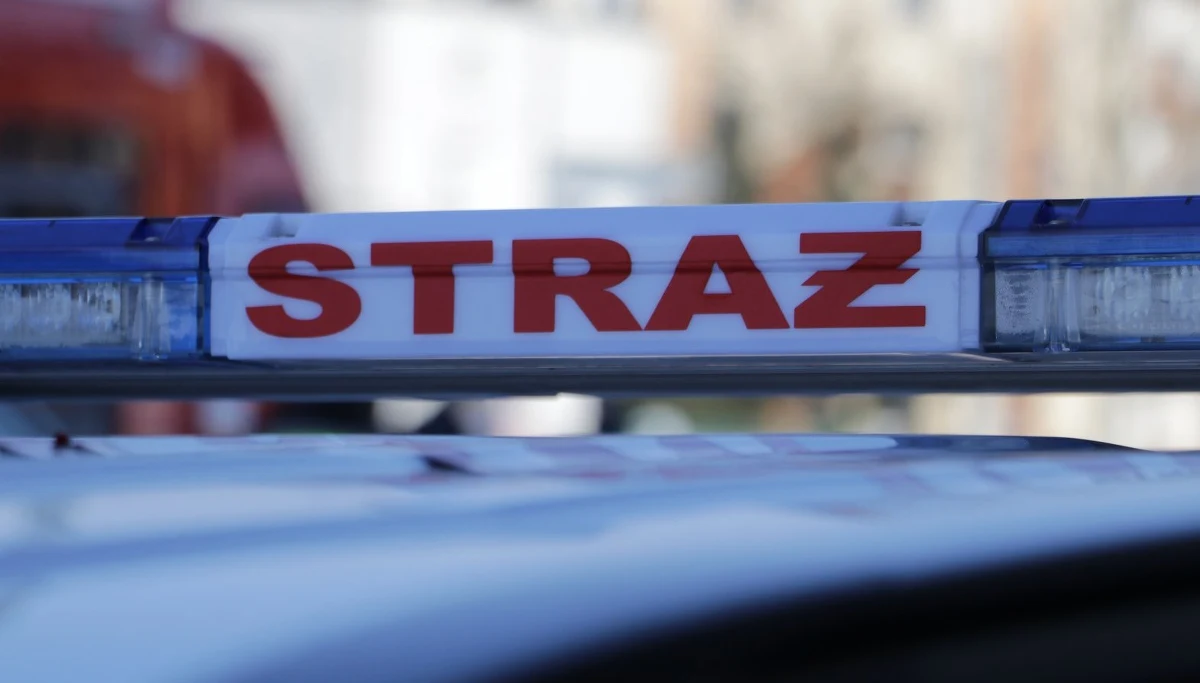 ​Kolejny od wczorajszego wieczora groźny pożar traw w Śląskiem. Trwa akcja strażaków w Tychach, spłonęły tam m.in. zaparkowane w pobliżu samochody.