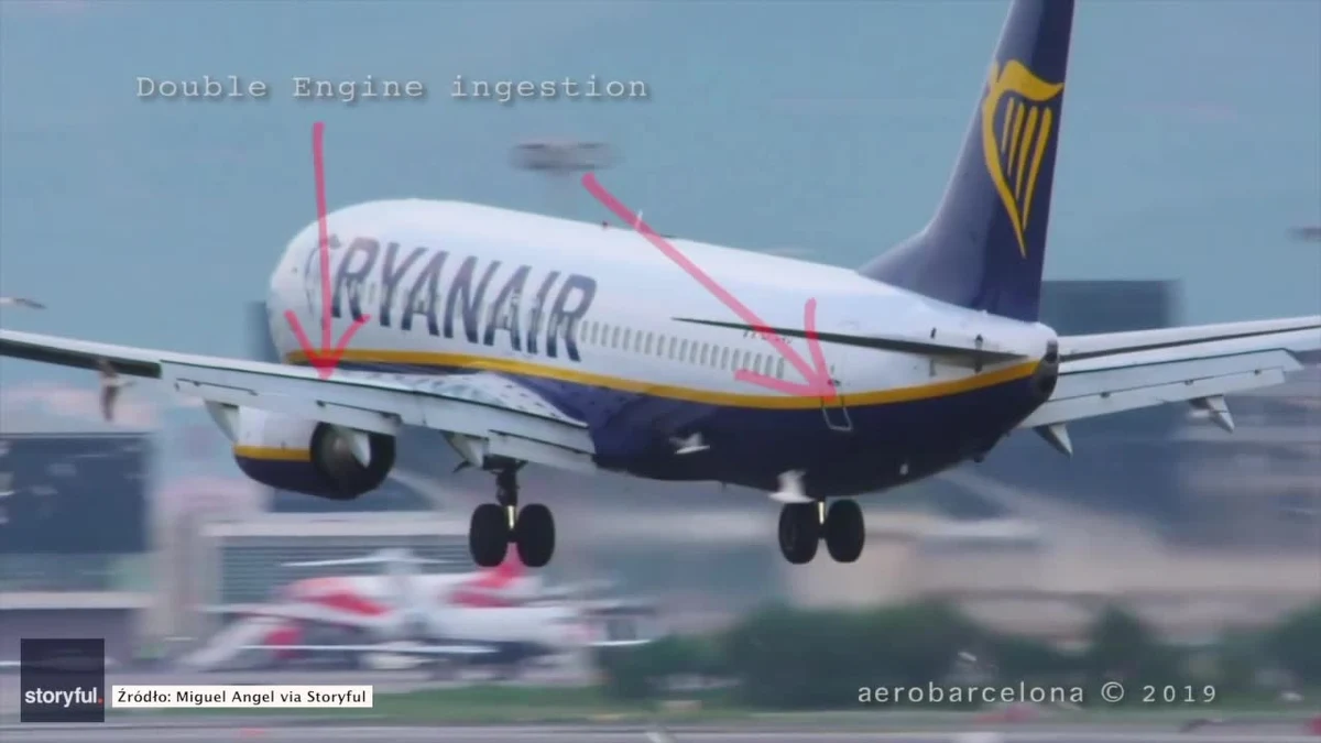 Samolot linii Ryanair podchodzący do lądowania w Barcelonie napotkał na stado mew latających tuż nad pasem. Na szczęście nie spowodowało to zagrożenia dla pasażerów. Świadkowie oszacowali, że zginęło około 20 ptaków, które uderzyły w skrzydła lub zostały wciągnięte przez silniki odrzutowe. Sprzątanie pasa zajęło ponad godzinę, przez ten czas cały ruch na zatłoczonym lotnisku musiał obsłużyć drugi pas startowy.