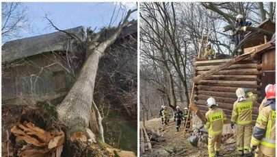 Bilans wichur w Polsce: 12 osób rannych, zniszczone budynki, powalone drzewa 
