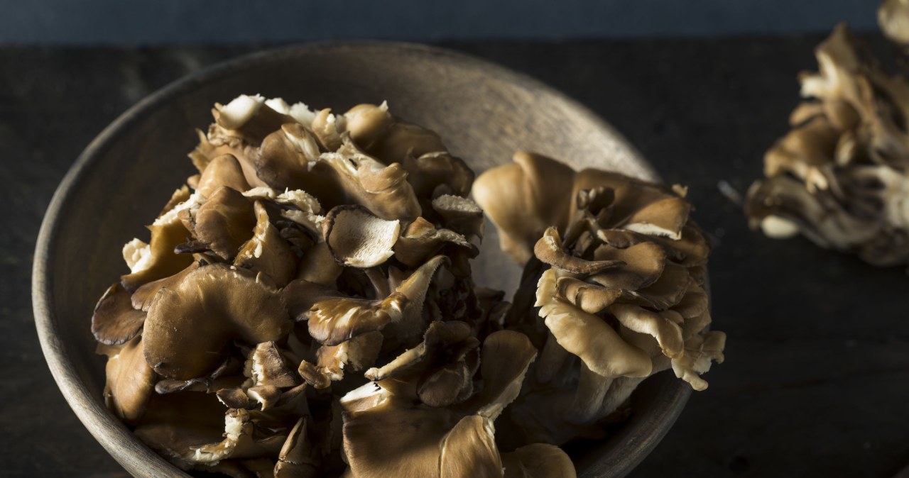 Grzyb maitake dobry dla cukrzyków Kobieta w INTERIA.PL