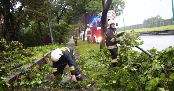 Śląscy strażacy podsumowali skutki nawałnicy, która w miniony weekend szalała nad tym województwem. Jeszcze dziś w niektórych miejscach usuwane są skutki huraganowego wiatru.