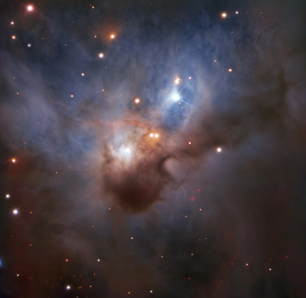 Europejskie Obserwatorium Południowe (ESO) pokazuje nam niezwykłe zdjęcie mgławicy NGC 1788, nazywanej Kosmicznym Nietoperzem, ukrytej w ciemnych rejonach gwiazdozbioru Oriona. Obraz uzyskany z pomocą teleskopu VLT jest najdokładniejszym do tej chwili portretem tego niezwykłego kosmicznego obiektu. Nietoperz, rozpościerający skrzydła na dwa tysiące lat świetlnych, to mgławica refleksyjna, która nie emituje własnego promieniowania, a jej obłoki gazu i pyłu są podświetlone przez gromadę młodych gwiazd w jej wnętrzu. NGC 1788 wydaje się izolowana od innych obiektów, astronomowie są jednak przekonani, że jej dramatyczny kształt to skutek działania potężnych wiatrów gwiazdowych, strumieni plazmy wyrzucanych z masywnych gwiazd spoza niej.