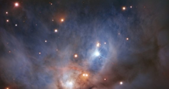 Europejskie Obserwatorium Południowe (ESO) pokazuje nam niezwykłe zdjęcie mgławicy NGC 1788, nazywanej Kosmicznym Nietoperzem, ukrytej w ciemnych rejonach gwiazdozbioru Oriona. Obraz uzyskany z pomocą teleskopu VLT jest najdokładniejszym do tej chwili portretem tego niezwykłego kosmicznego obiektu. Nietoperz, rozpościerający skrzydła na dwa tysiące lat świetlnych, to mgławica refleksyjna, która nie emituje własnego promieniowania, a jej obłoki gazu i pyłu są podświetlone przez gromadę młodych gwiazd w jej wnętrzu. NGC 1788 wydaje się izolowana od innych obiektów, astronomowie są jednak przekonani, że jej dramatyczny kształt to skutek działania potężnych wiatrów gwiazdowych, strumieni plazmy wyrzucanych z masywnych gwiazd spoza niej.