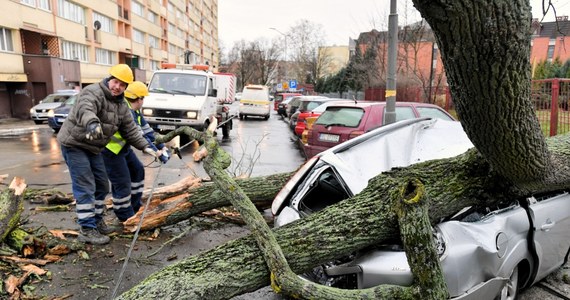 Tylko dziś Straż Pożarna interweniowała w całej Polsce 776 razy – wszystko przez silny wiatr. Porywiste podmuchy uszkodziły wiele linii energetycznych, wciąż bez prądu pozostaje 47 tys. osób.