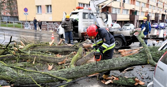 Instytut Meteorologii i Gospodarki Wodnej w sobotę wydał ostrzeżenia pierwszego stopnia przed silnym wiatrem dla województwa mazowieckiego i województw południowo-wschodnich.
