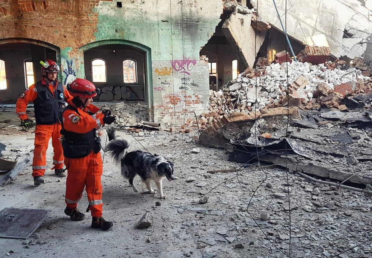 Działania ratownicze na terenie byłej fabryki porcelany w Wałbrzychu w nocy zostały przerwane ze względów bezpieczeństwa. Na miejscu do północy pracowało 21 ratowników oraz specjalne jednostki z psami. 