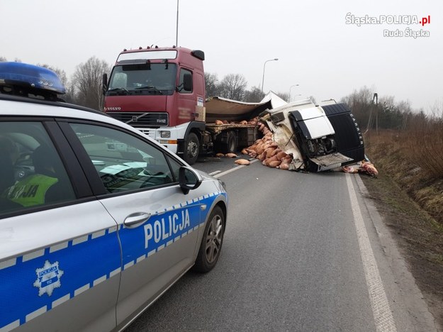 /Śląska policja /