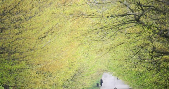 Początek weekendu zapowiada się ciepło i słonecznie. Termometry wskażą nawet 20 st. Celsjusza. Niestety, już w niedzielę poczujemy kapryśność wiosennej aury.