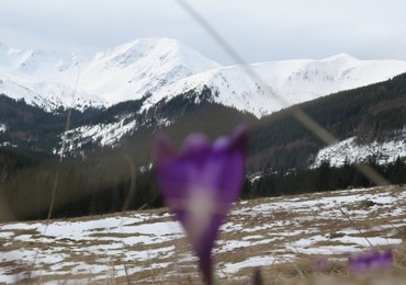 Tatry: Turysta spadł w rejonie Koziej Przełęczy Wyżniej