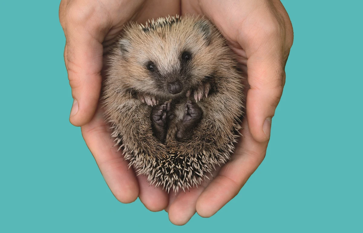 "Nie przeżyjesz w pełni każdego dnia, jeśli nie zrobisz czegoś dla kogoś, kto nigdy nie będzie mógł ci za to zapłacić". Brzmi górnolotnie i naiwnie? Może i tak, ale w czasach, gdy już prawie wszystko przeliczamy na pieniądze i lajki warto pozwolić sobie choć na odrobinę takiej naiwności. Jak się jej uczyć? 