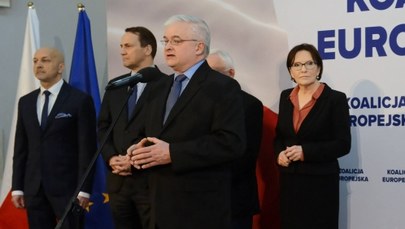 Cimoszewicz: Polska nie jest przystawką Srebrnej