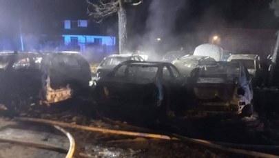 Pożar w warsztacie w Wawrze. Spłonęło 9 aut